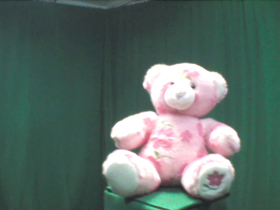 315 Degrees _ Picture 9 _ Pink Floral Design Teddy Bear.png